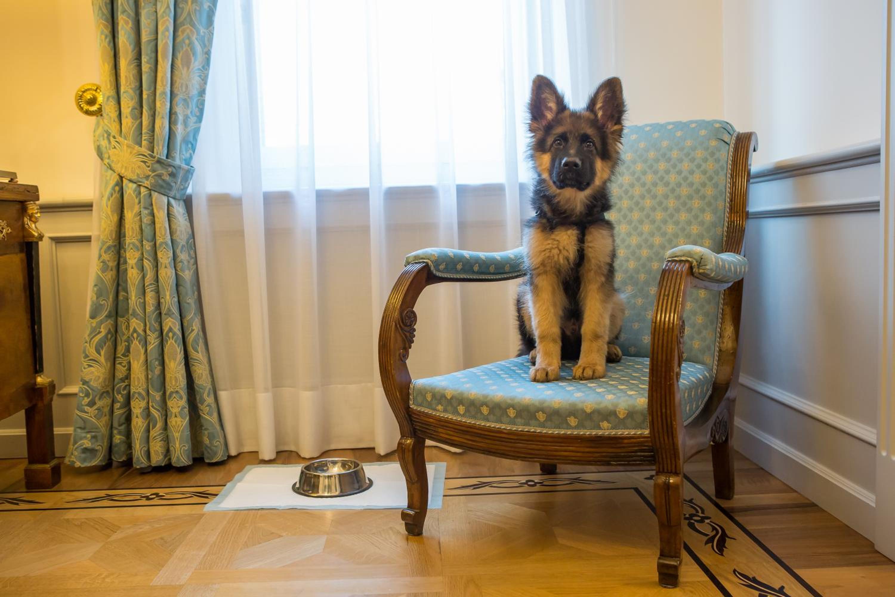 Due Torri Hotel